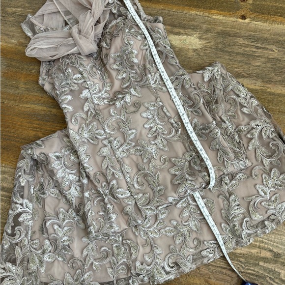 Alex Evenings Champagne Embroidered Tulle Gown - Picture 7 of 10